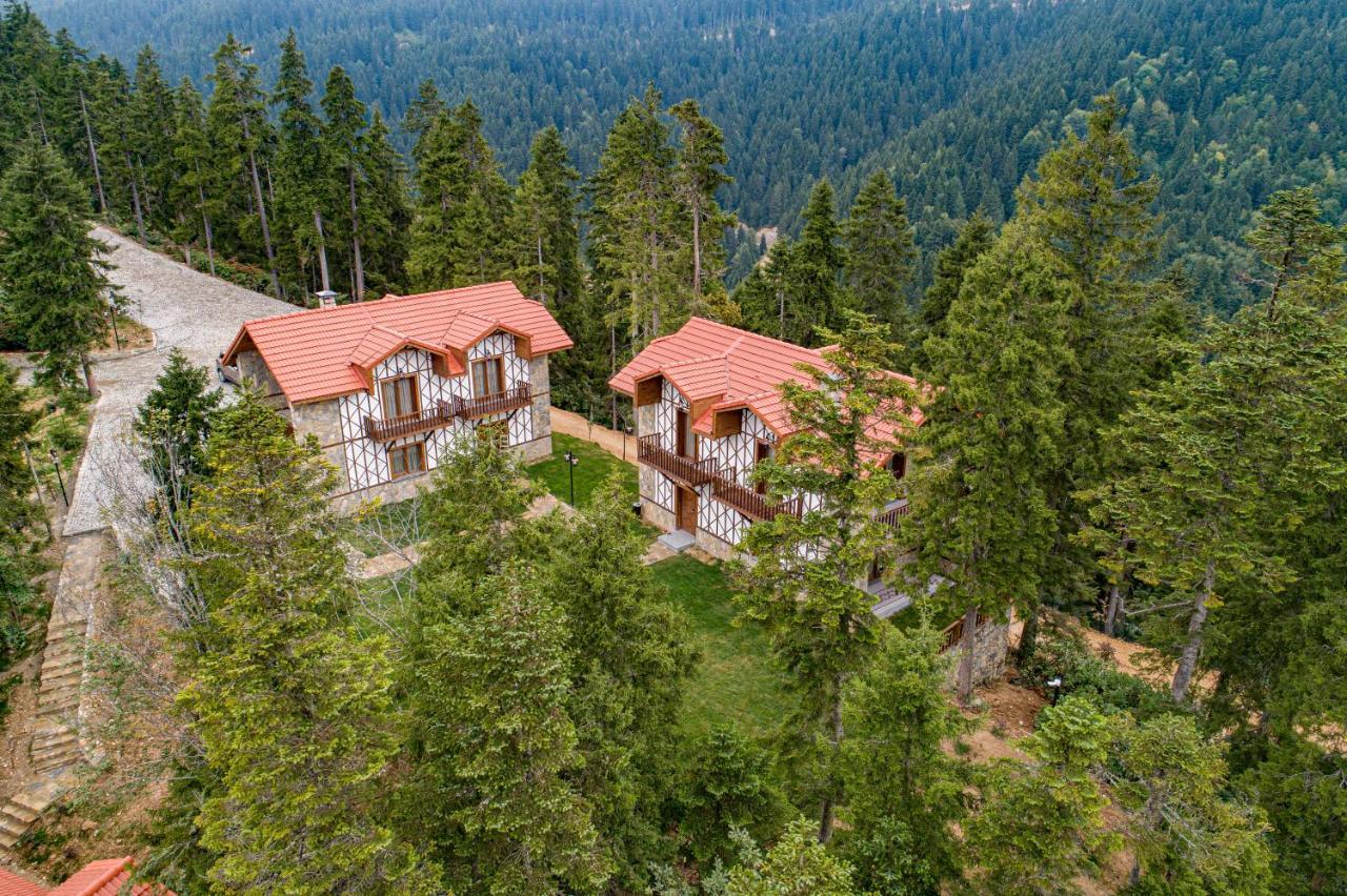 Foleya Mountain Resort Hotel & Villas Трабзон Экстерьер фото