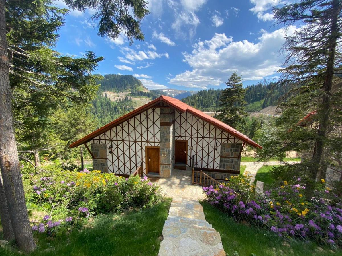 Foleya Mountain Resort Hotel & Villas Трабзон Экстерьер фото