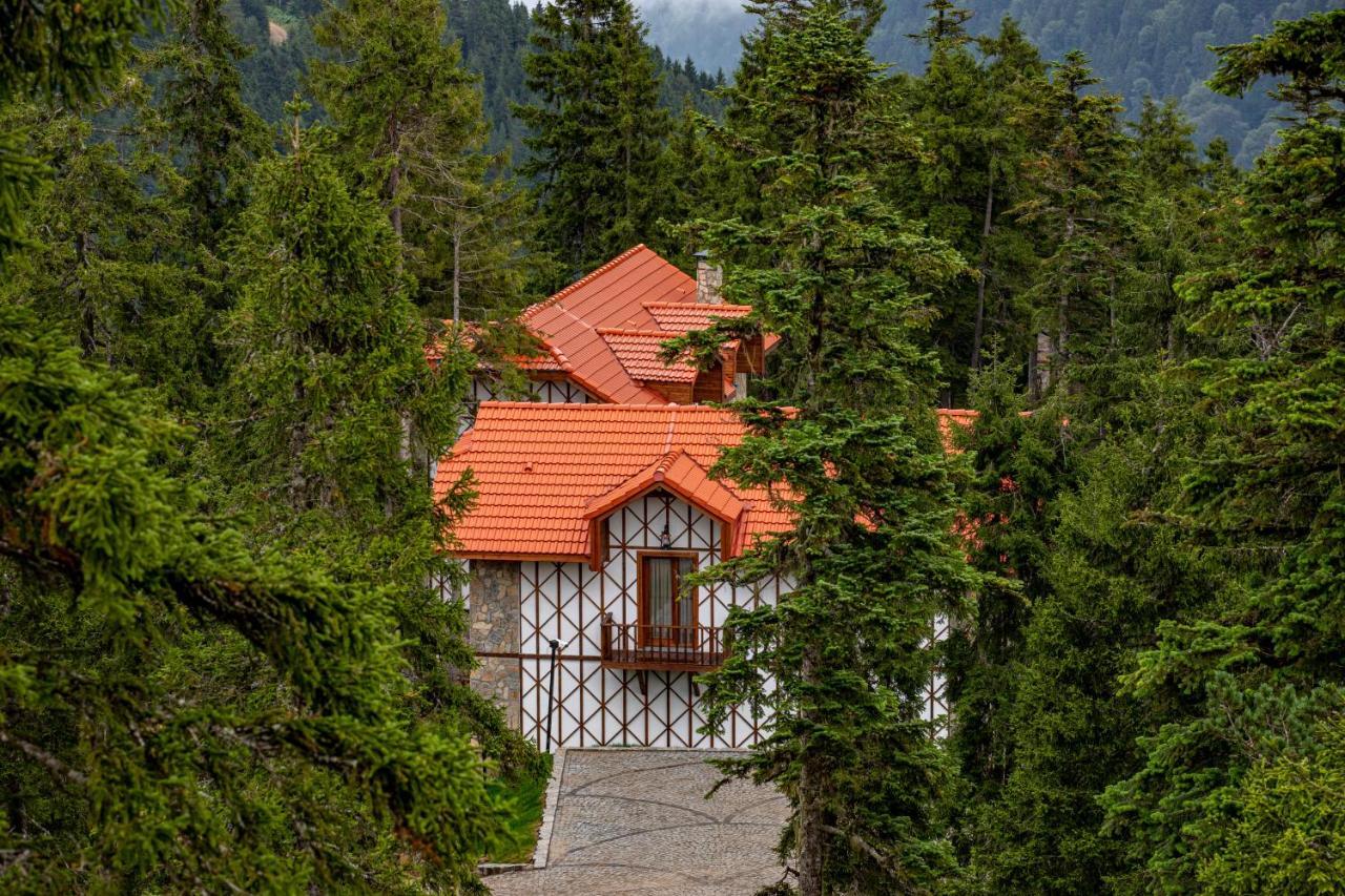 Foleya Mountain Resort Hotel & Villas Трабзон Экстерьер фото